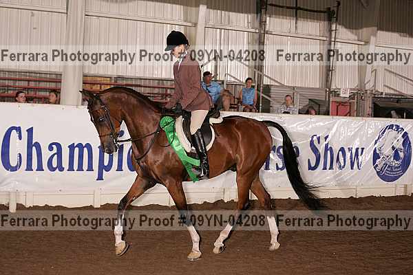 Proof 09yn-04208