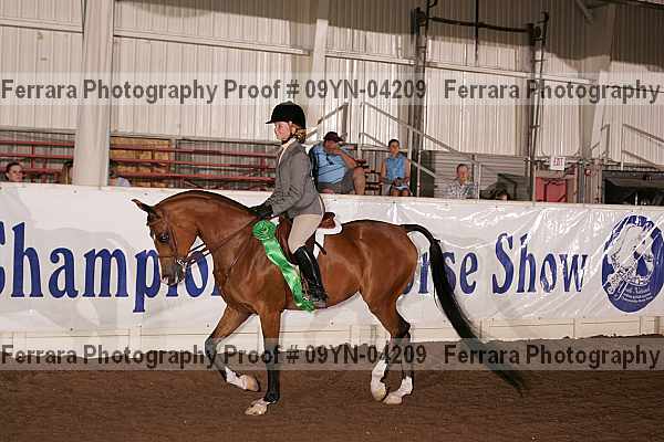 Proof 09yn-04209