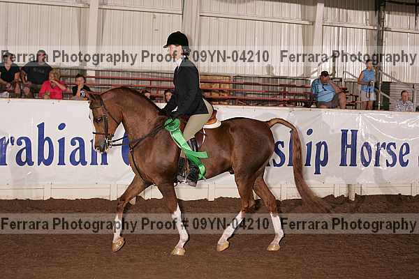 Proof 09yn-04210