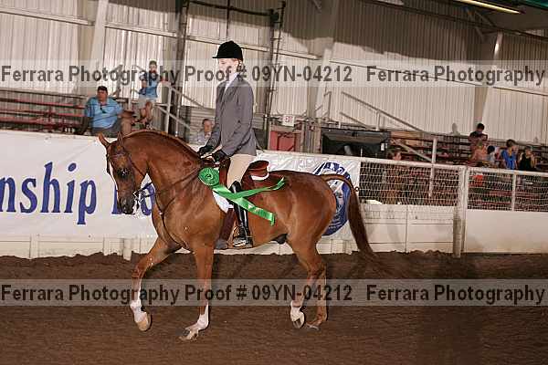 Proof 09yn-04212