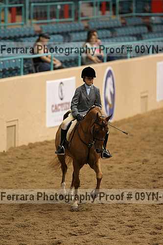 Proof 09yn-06545
