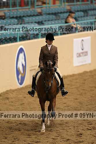 Proof 09yn-06546