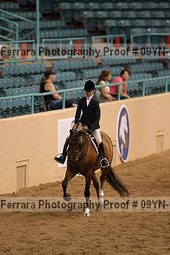 Proof 09yn-06548