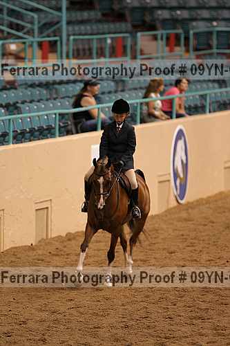 Proof 09yn-06550