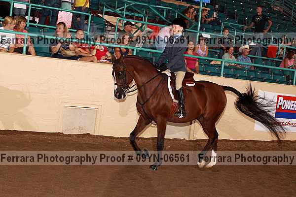 Proof 09yn-06561