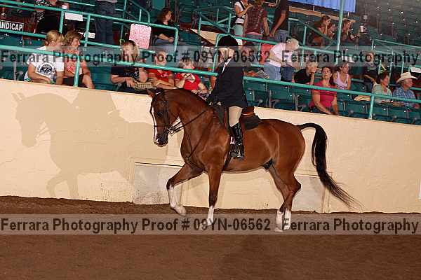 Proof 09yn-06562