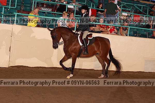 Proof 09yn-06563