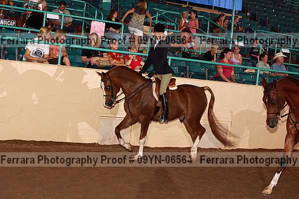 Proof 09yn-06564
