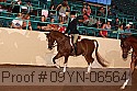 09yn-06564 proof