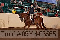 09yn-06565 proof