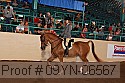 09yn-06567 proof