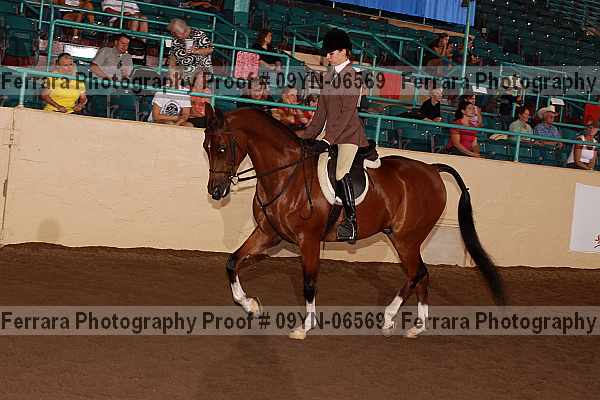 Proof 09yn-06569