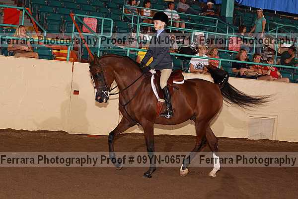 Proof 09yn-06571