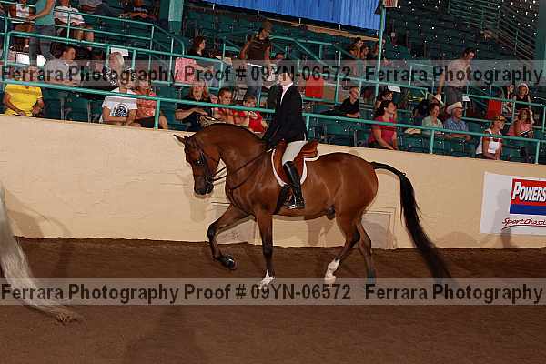 Proof 09yn-06572