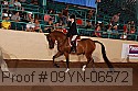 09yn-06572 proof