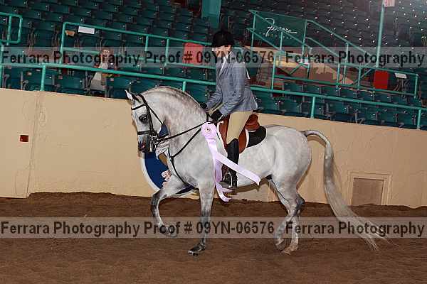 Proof 09yn-06576