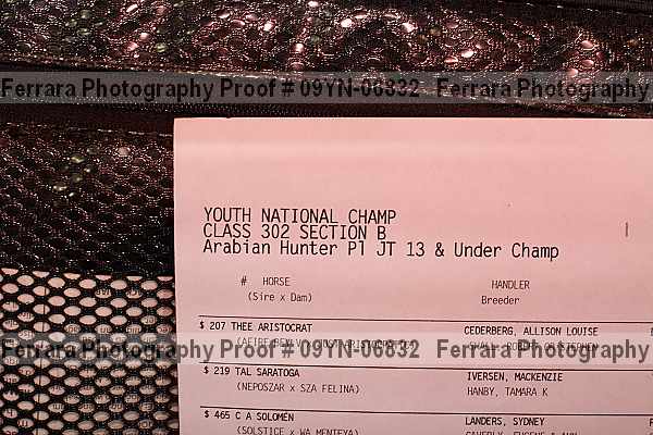 Proof 09yn-06832