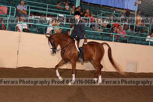 Proof 09yn-06841