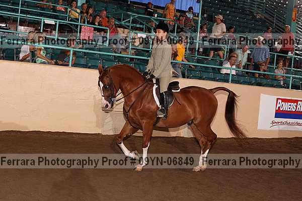 Proof 09yn-06849
