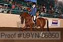 09yn-06850 proof