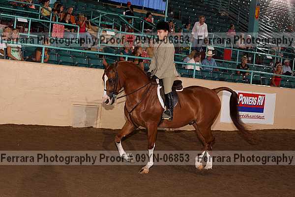 Proof 09yn-06853