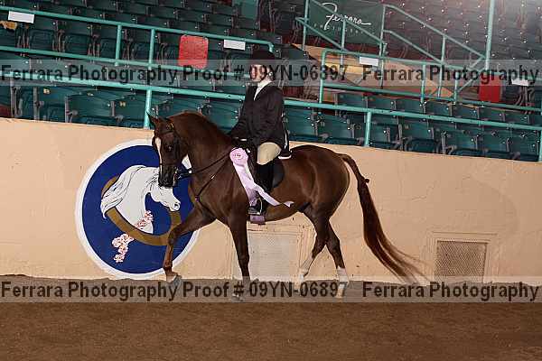Proof 09yn-06897