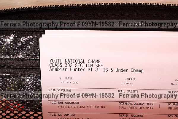 Proof 09yn-19582