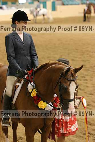Proof 09yn-19605