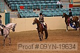 09yn-19634 proof