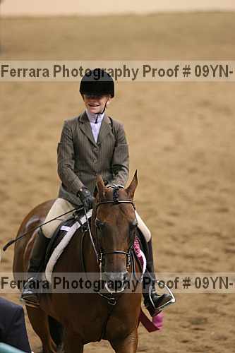 Proof 09yn-19639