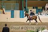 09yn-19658 proof