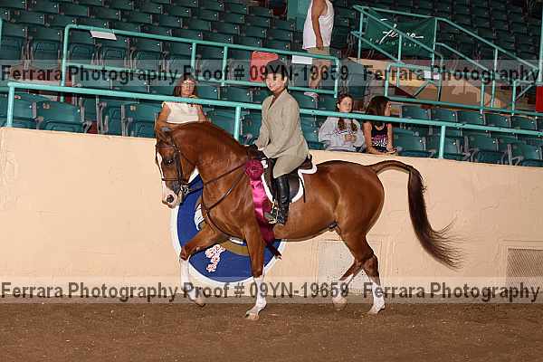 Proof 09yn-19659
