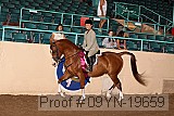 09yn-19659 proof