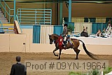 09yn-19664 proof