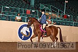 09yn-19674 proof