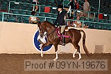 09yn-19676 proof
