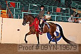 09yn-19679 proof