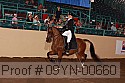09yn-00660 proof