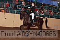 09yn-00666 proof