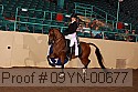 09yn-00677 proof