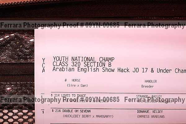 Proof 09yn-00685
