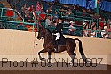 09yn-00687 proof
