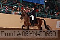09yn-00690 proof