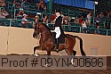 09yn-00696 proof