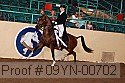 09yn-00702 proof