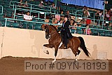 09yn-18193 proof