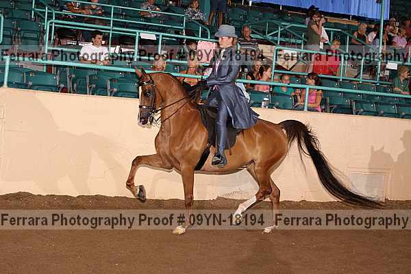 Proof 09yn-18194