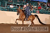 09yn-18194 proof