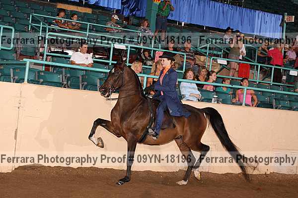 Proof 09yn-18196