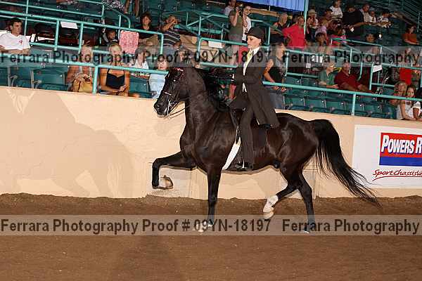 Proof 09yn-18197